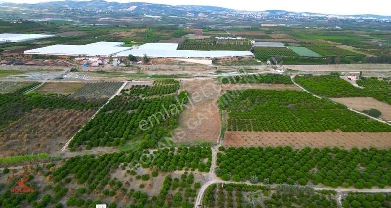 Akdam'da Deliçaya Sıfır, Otobana Yakın 11.065 M2 Müstakil Tarla - Görsel 4