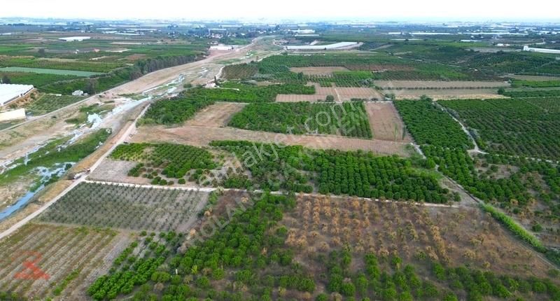 Akdam'da Deliçaya Sıfır, Otobana Yakın 11.065 M2 Müstakil Tarla - Görsel 5