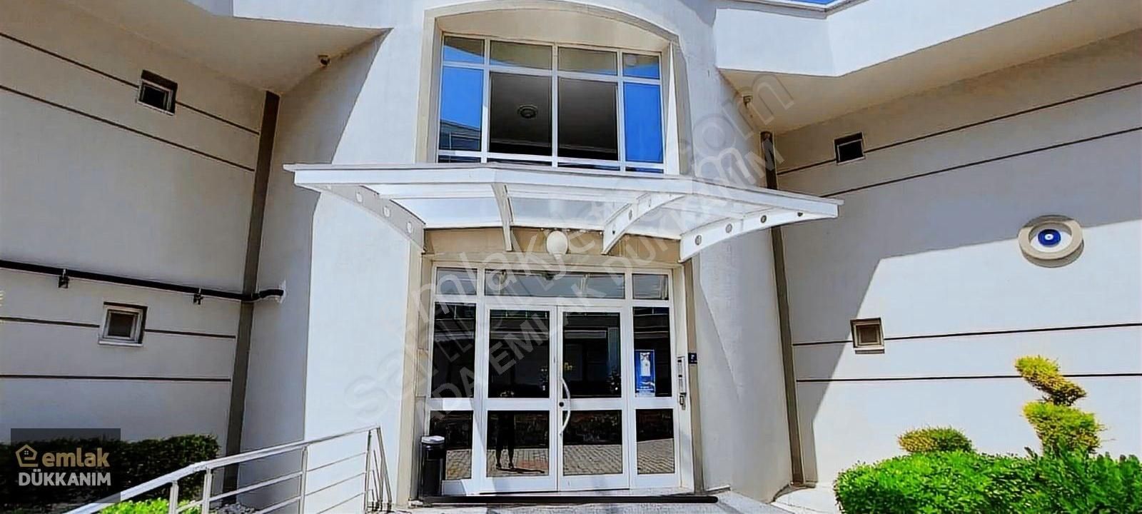 Marinada Eşsiz Daire