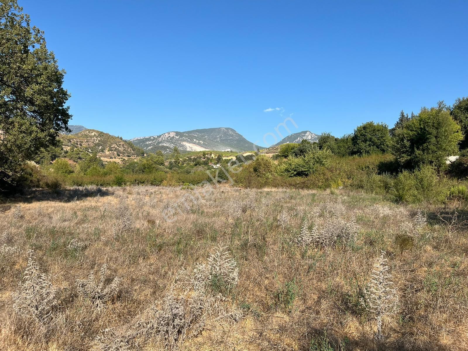 Erentepe'de Müstakil Tapulu Arazi Fırsatı