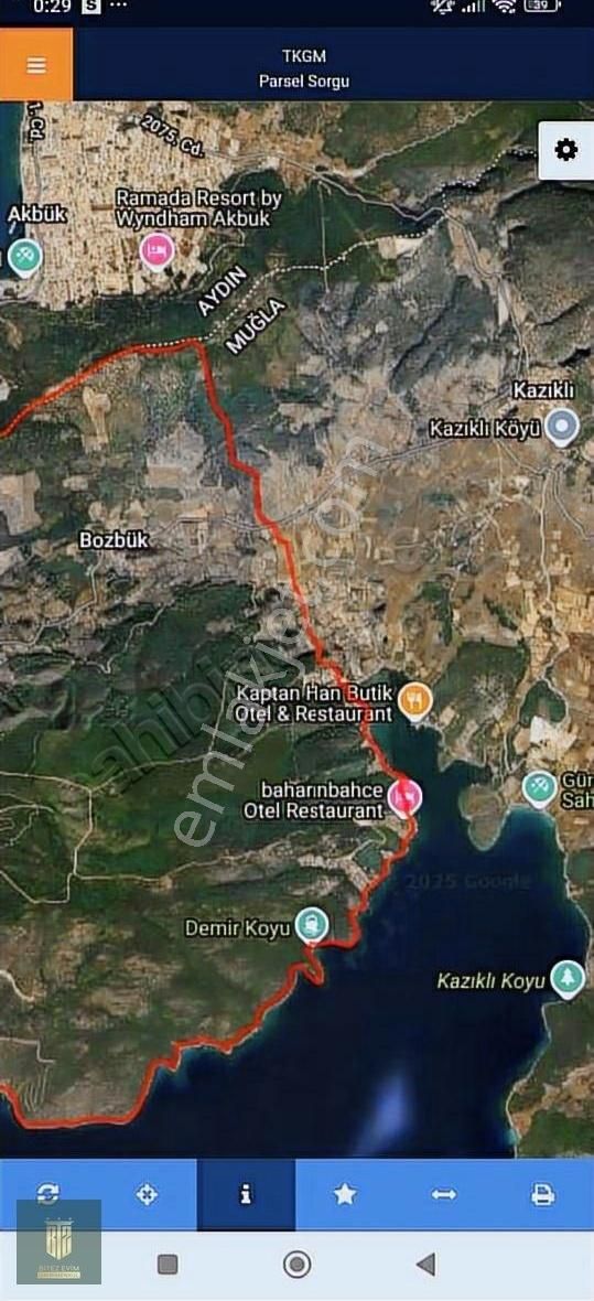 Bozbükte Satılık 14.500 M2 Zeytinlik