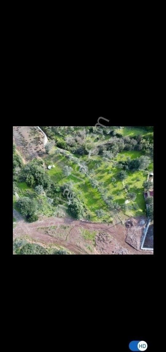 Orhaniye Güneş Emlaktan Konut Imarlı Tarla - Görsel 4