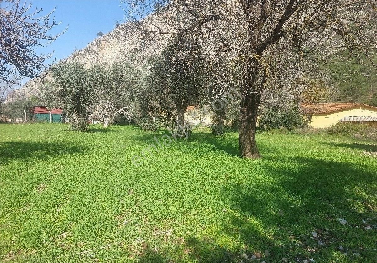 Orhaniye Güneş Emlaktan Satılık Tarla - Görsel 2