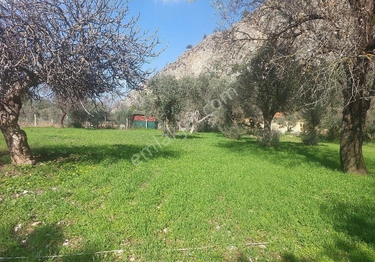 Orhaniye Güneş Emlaktan Satılık Tarla - Görsel 3