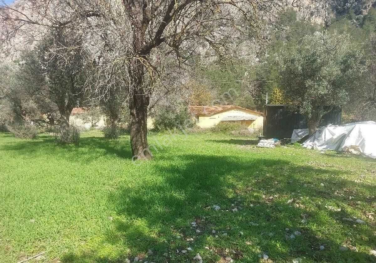 Orhaniye Güneş Emlaktan Satılık Tarla