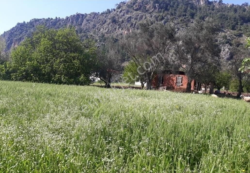 0rhaniye Güneş Emlaktan Tarla