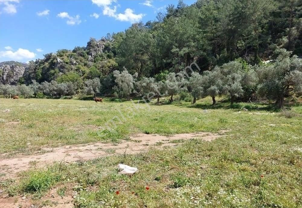 Orhanıye Güneş Emlaktan Konut Imarlı Tarla - Görsel 3