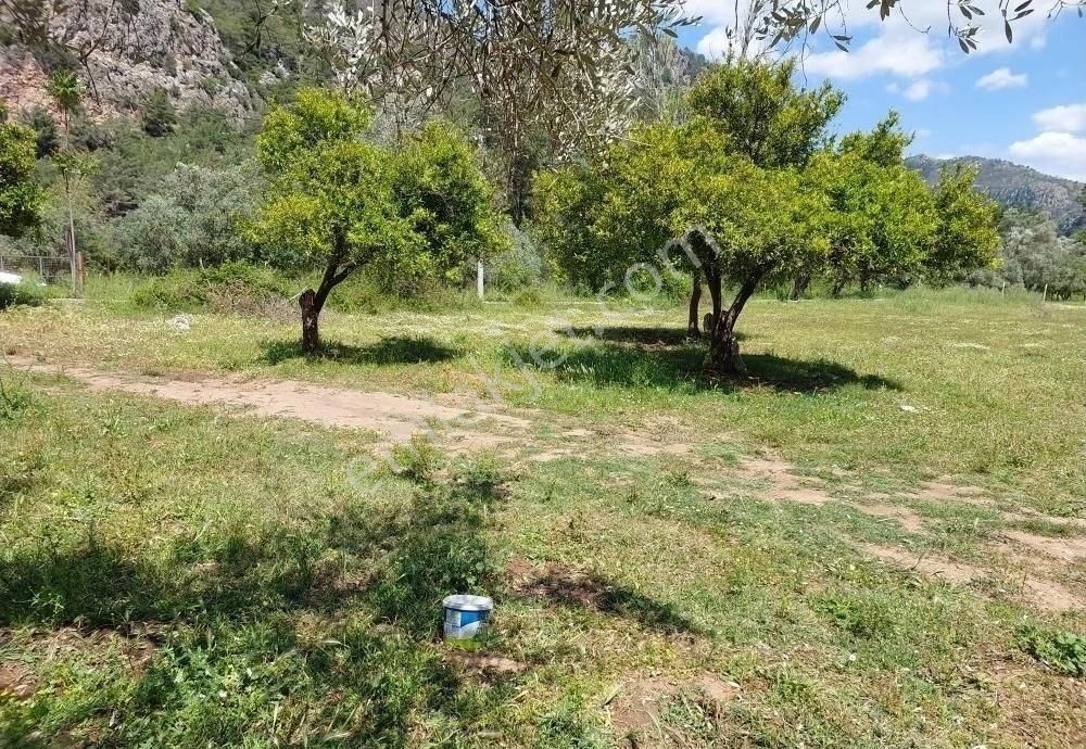 Orhanıye Güneş Emlaktan Konut Imarlı Tarla - Görsel 5