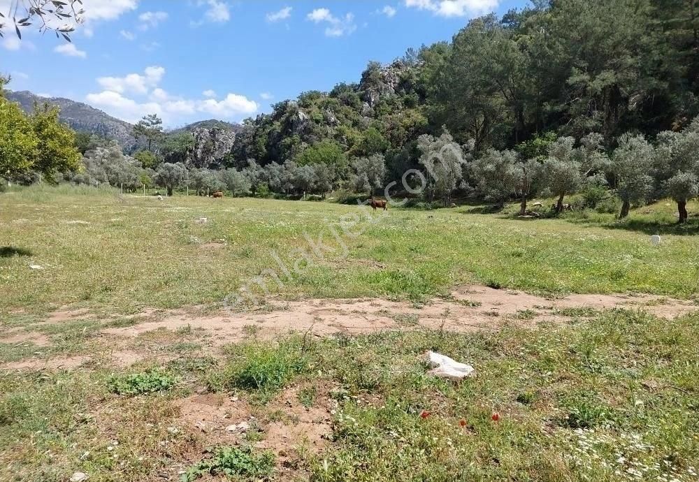 Orhanıye Güneş Emlaktan Konut Imarlı Tarla - Görsel 7