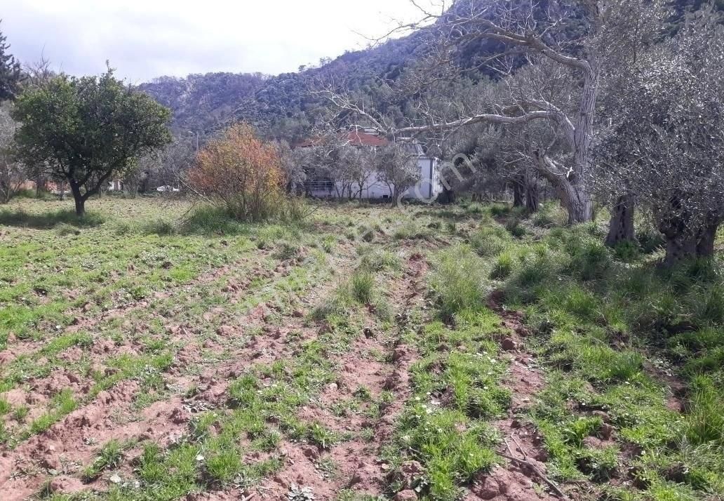 Orhaniye Güneş Emlak Tan Konut Imarlı Tarla - Görsel 4