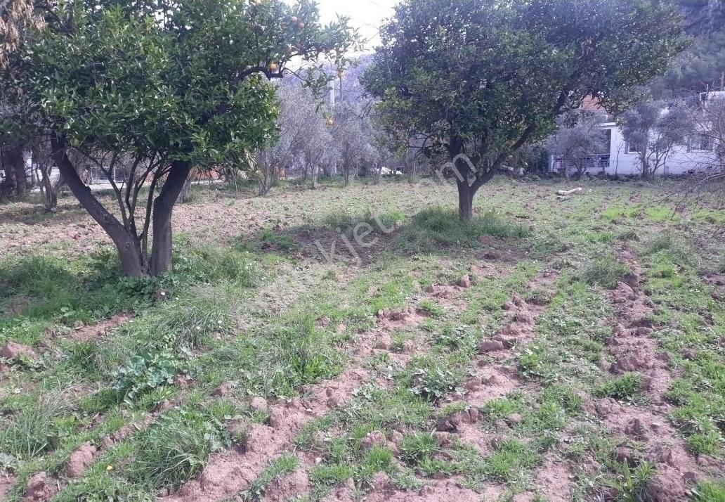 Orhaniye Güneş Emlak Tan Konut Imarlı Tarla - Görsel 5