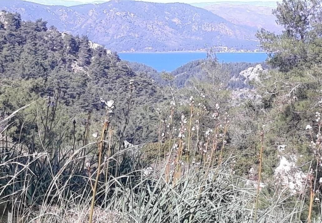 Orhaniye Güneş Emlak Tan Satılık