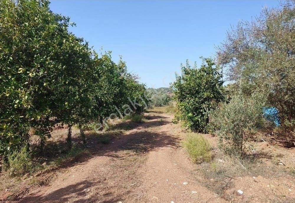 0rhaniye Güneş Emlaktan Satılık Tarla