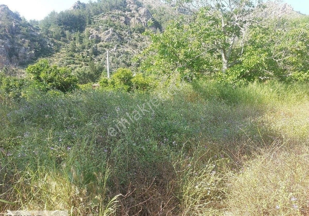 0rhaniye Güneş Emlaktan Konut Imarlı Tarla - Görsel 3