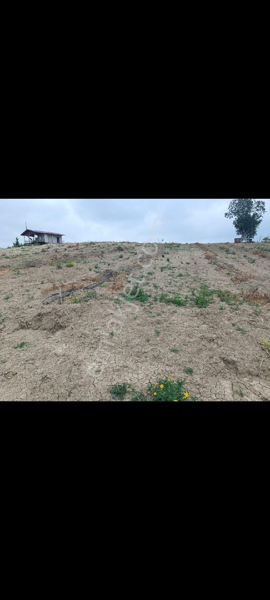 Tarsus Es Emlaktan Satılık Arsa