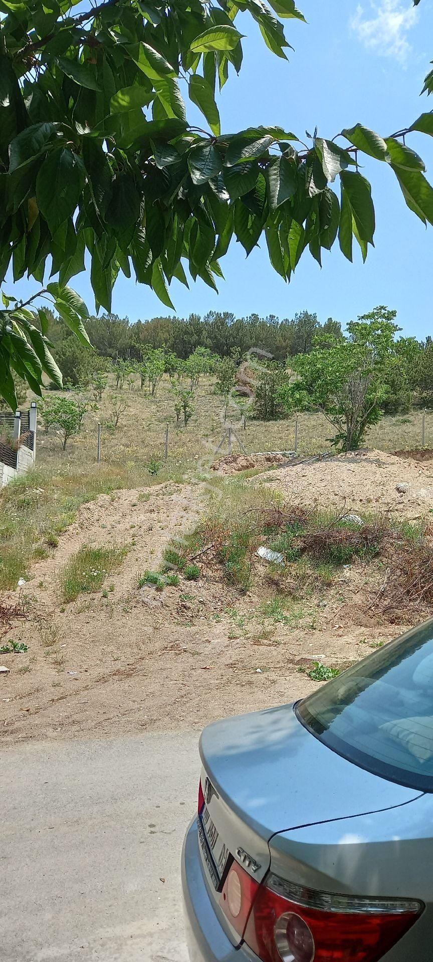 Sahıbınden Çayyolu Yaşamkent Kıralık Mobılyalı Eşyalı Daıre Bahçe Keyfı Sevenler Içın