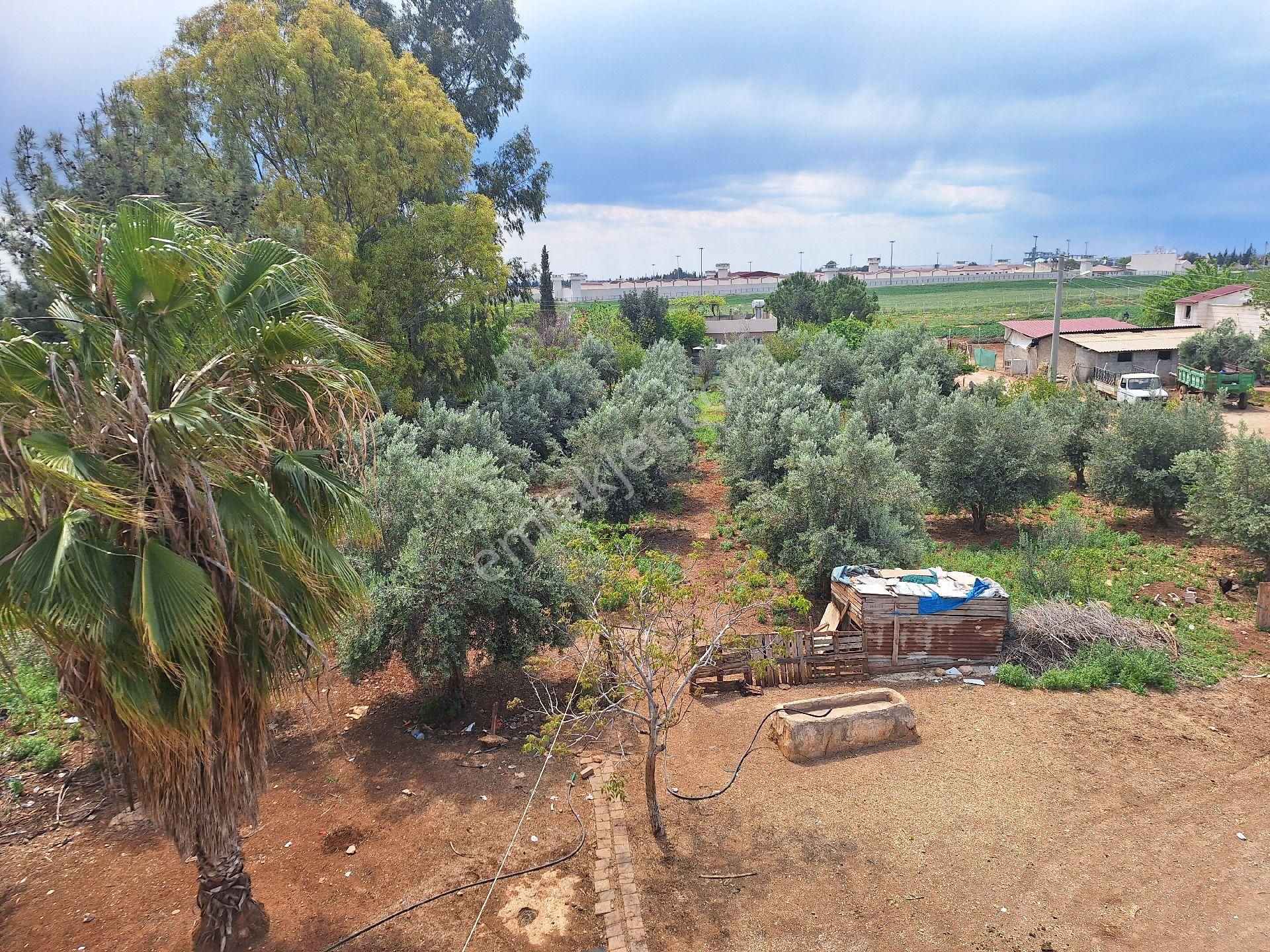 Kürkçüler Ceza Evi Arkası 3000 M2 Arsa 2 Adet Müstakil Ev