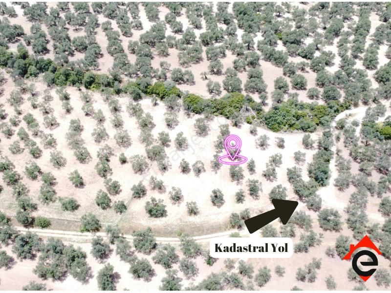 Satılık Köşe Müstakil Parsel Zeytinlik - Görsel 2