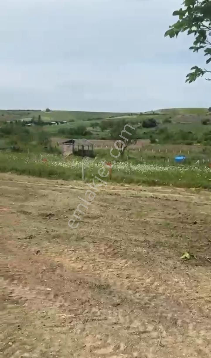 Silivri Değirmenköy 635 M2 Kadastro Yola Cephe Yatırımlık Arsa