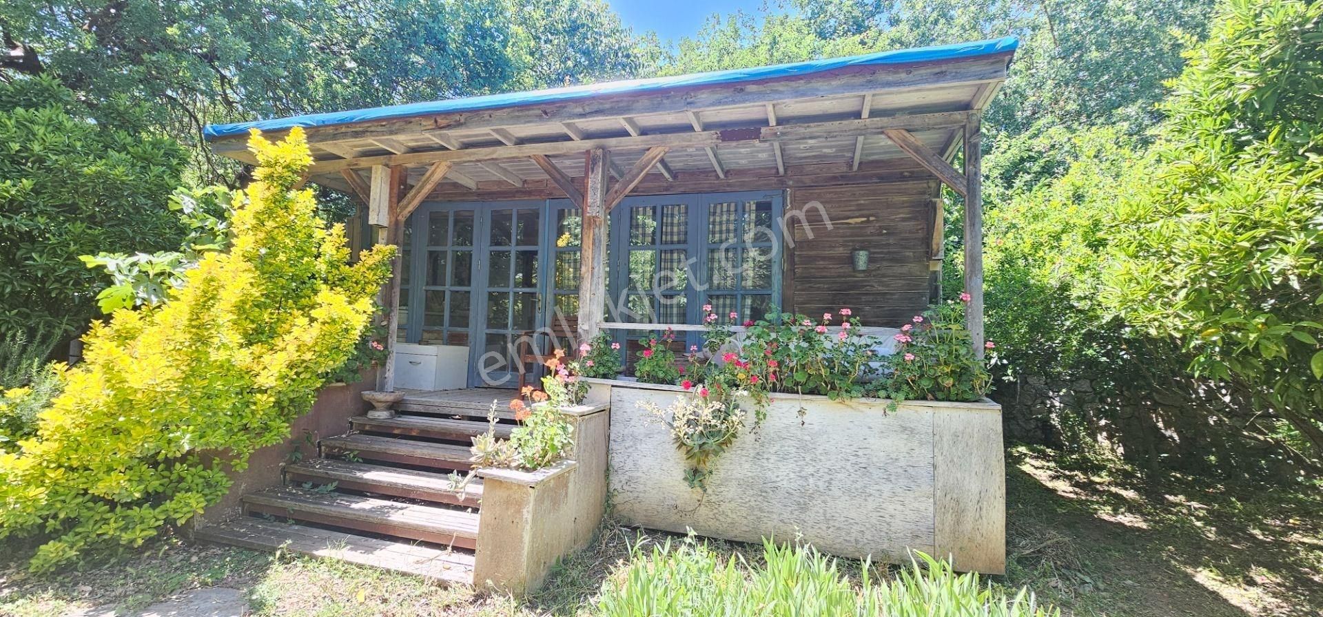 Satılık İncir Bahçesi — Muğla / Fethiye / Kayaköy