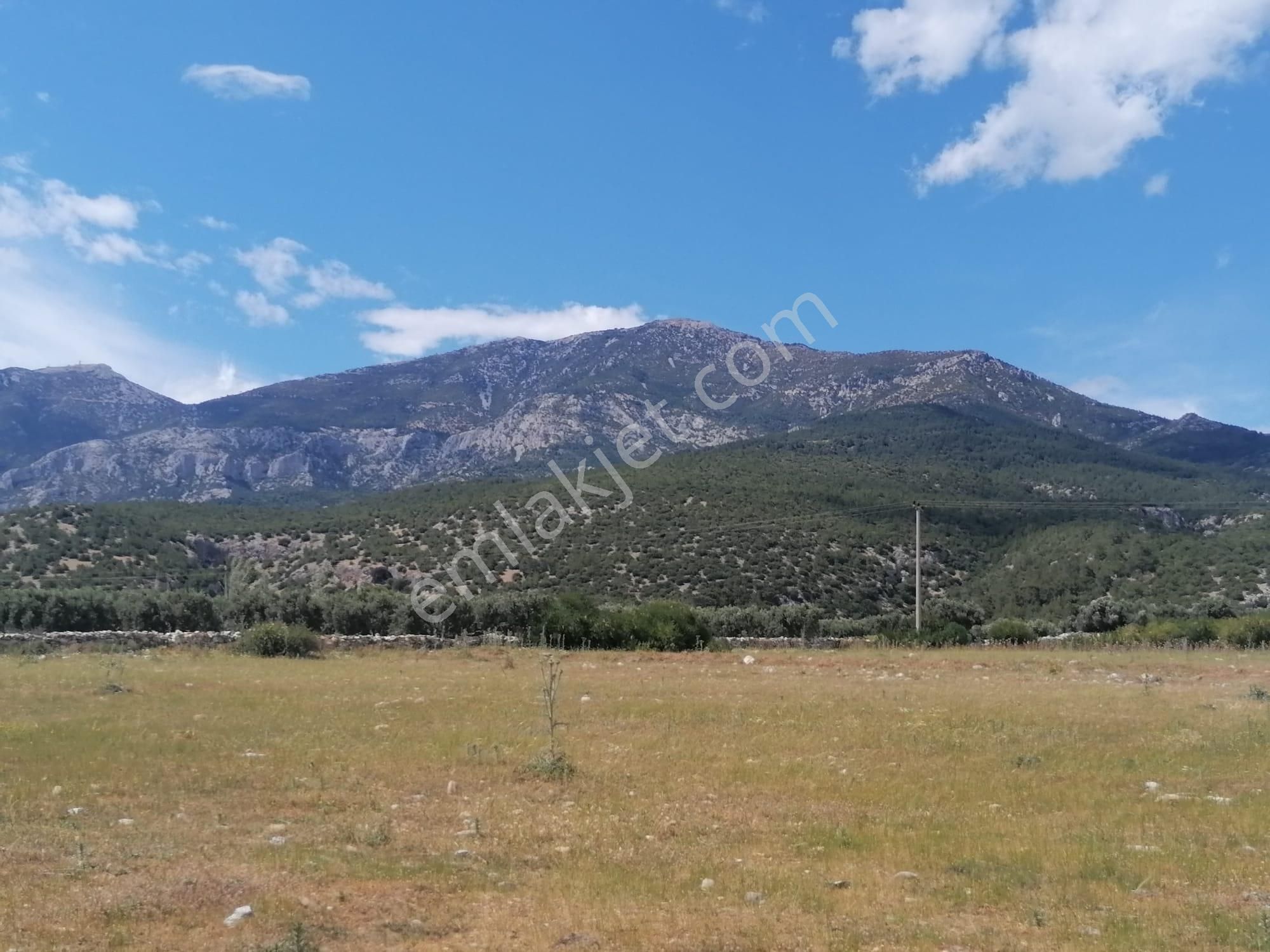 Doğanbey Köyü Sökede Satılık Tarla - Görsel 5