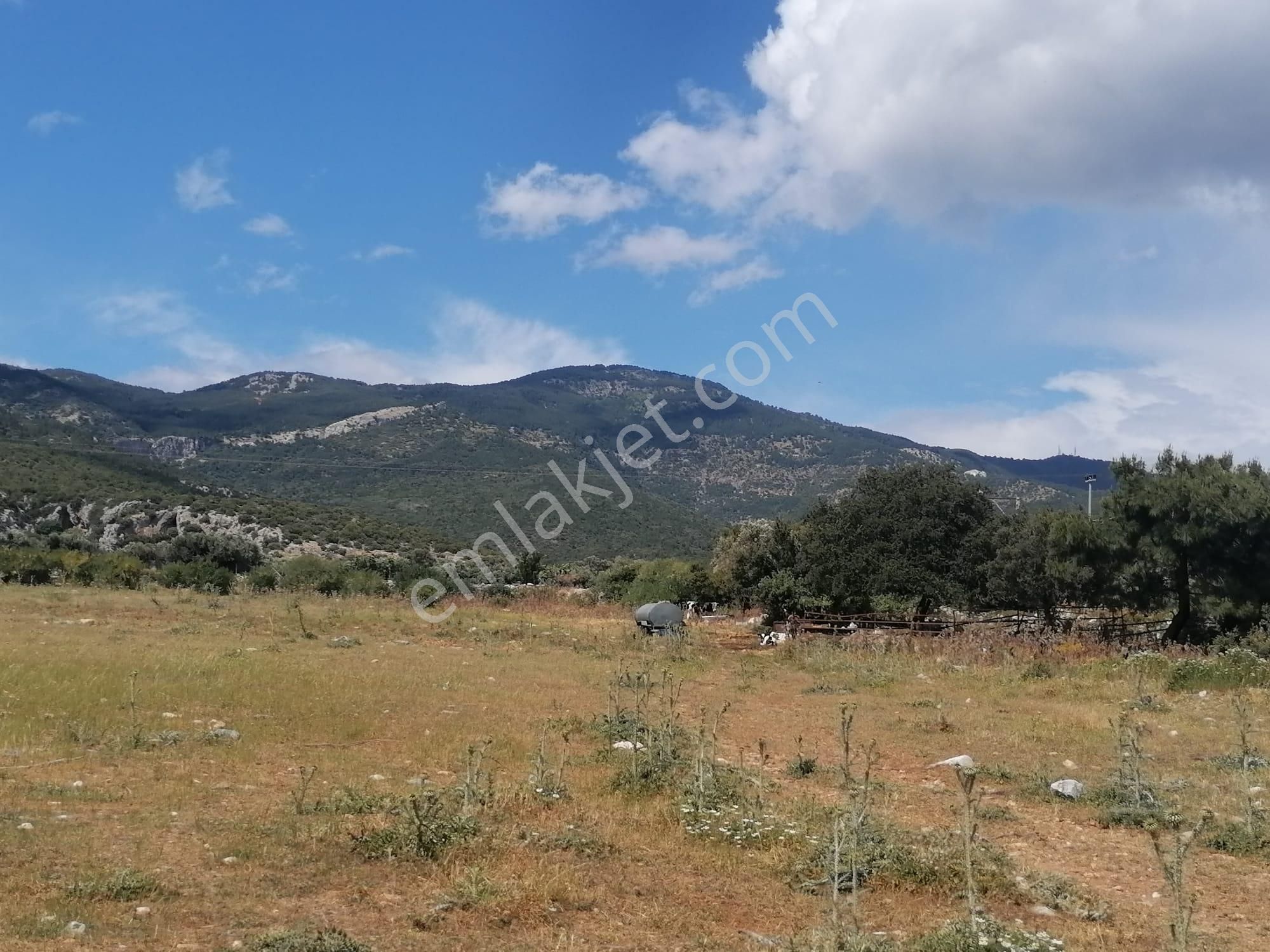 Doğanbey Köyü Sökede Satılık Tarla - Görsel 17