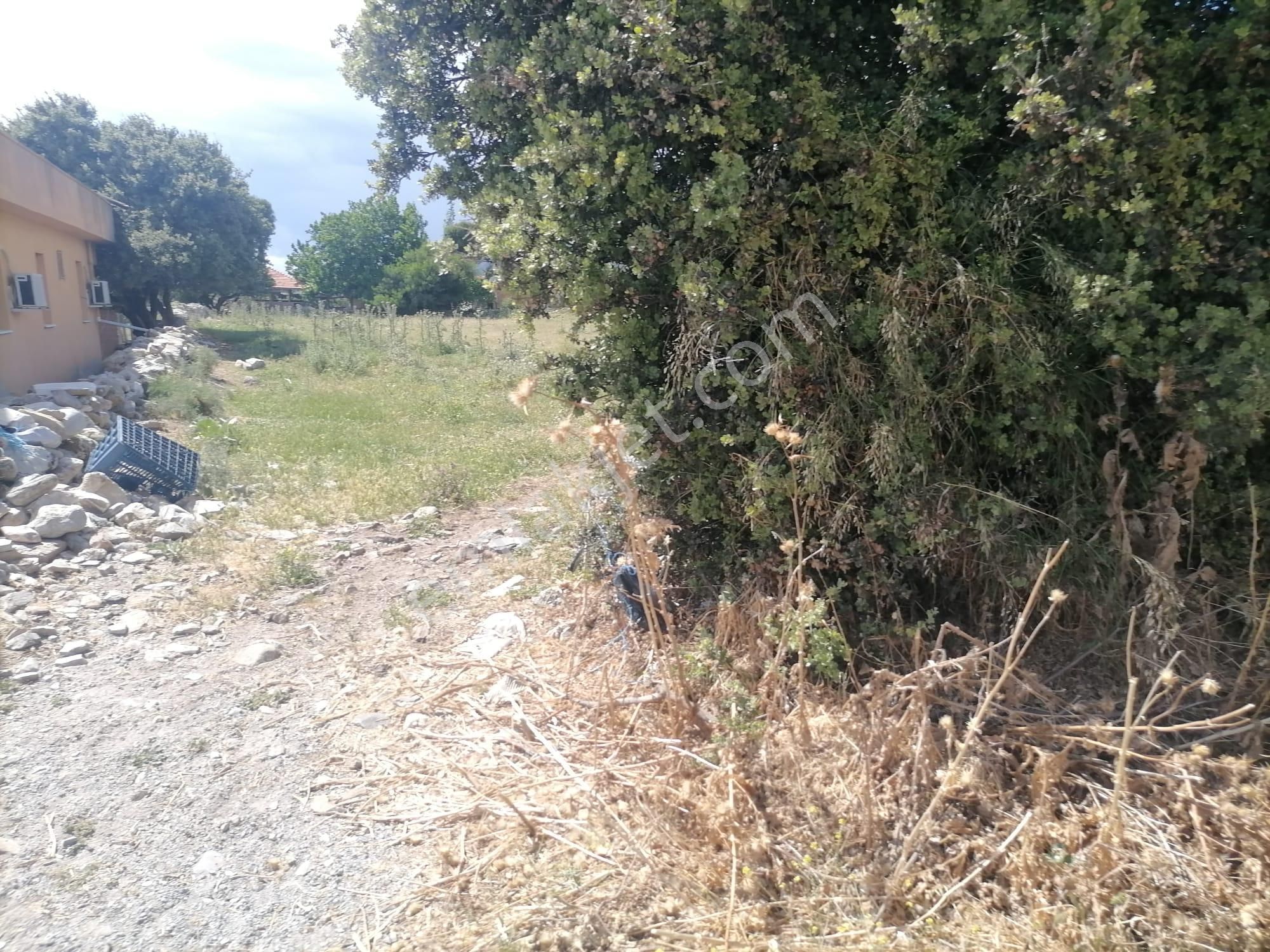 Doğanbey Köyü Sökede Satılık Tarla - Görsel 8