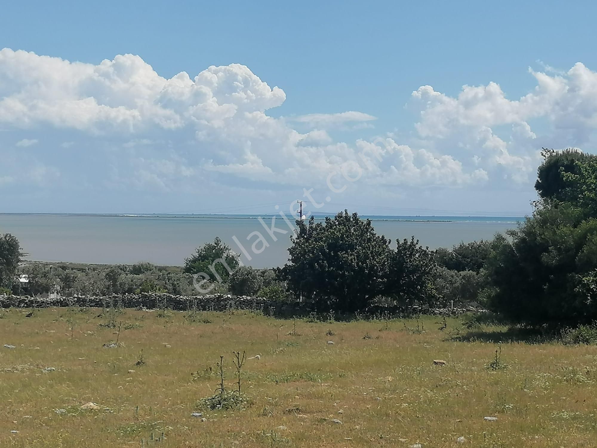 Doğanbey Köyü Sökede Satılık Tarla - Görsel 2