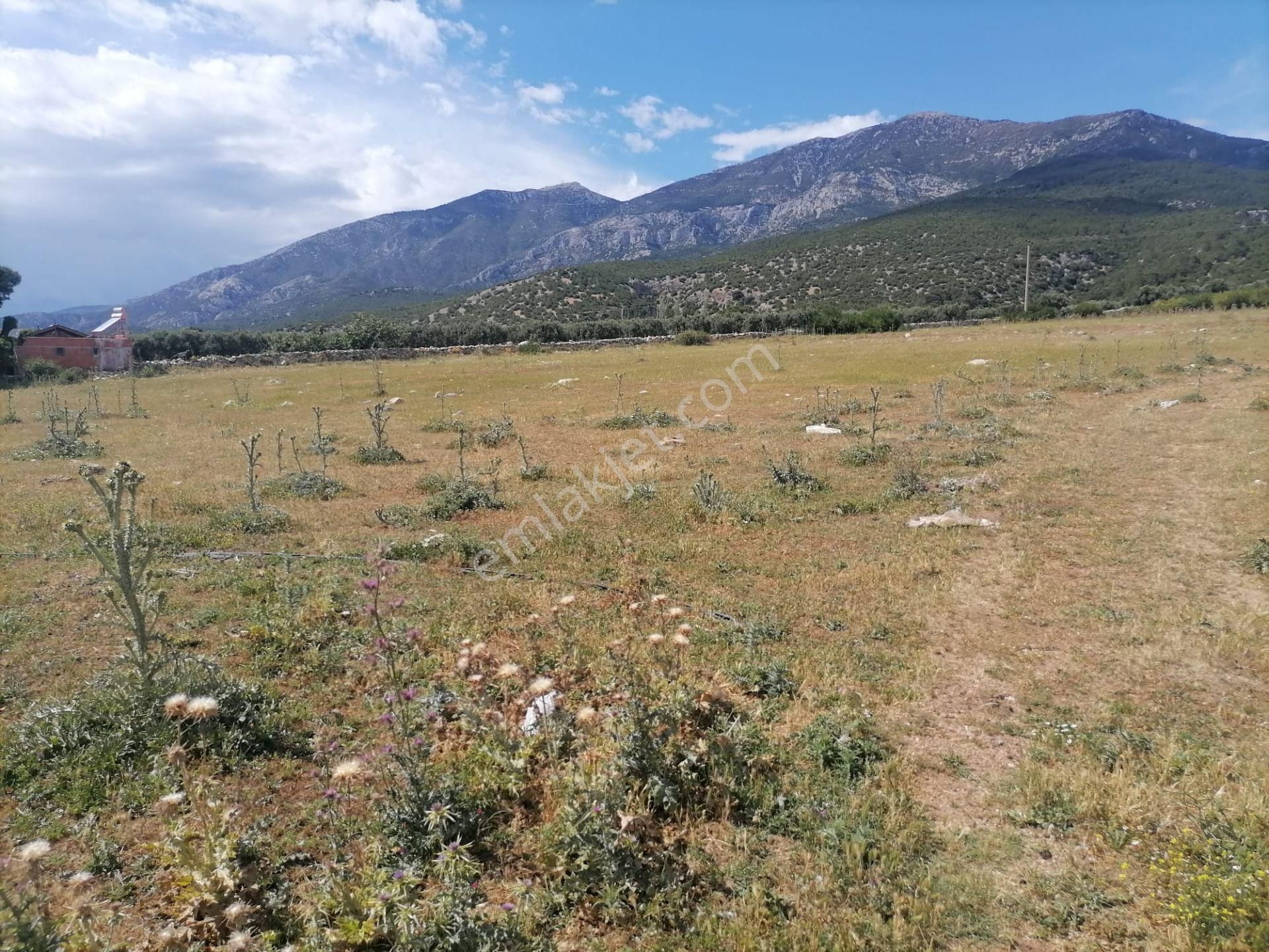 Doğanbey Köyü Sökede Satılık Tarla - Görsel 22