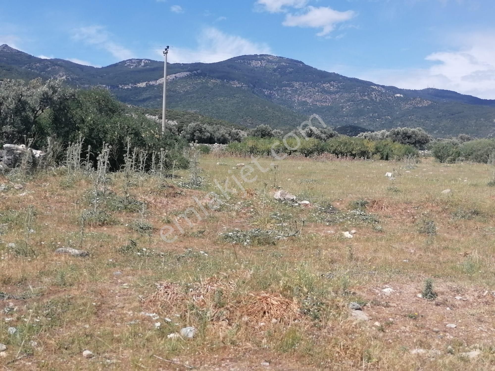 Doğanbey Köyü Sökede Satılık Tarla - Görsel 23