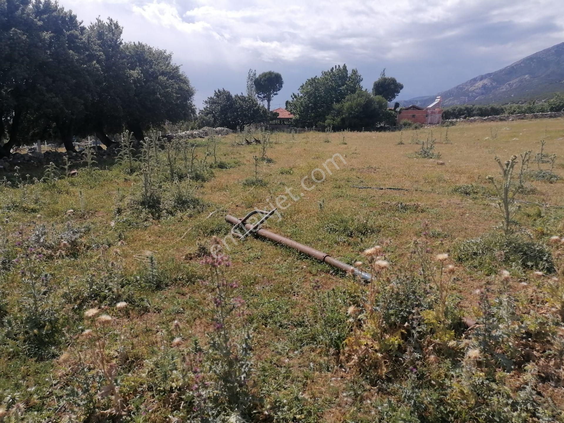 Doğanbey Köyü Sökede Satılık Tarla - Görsel 25