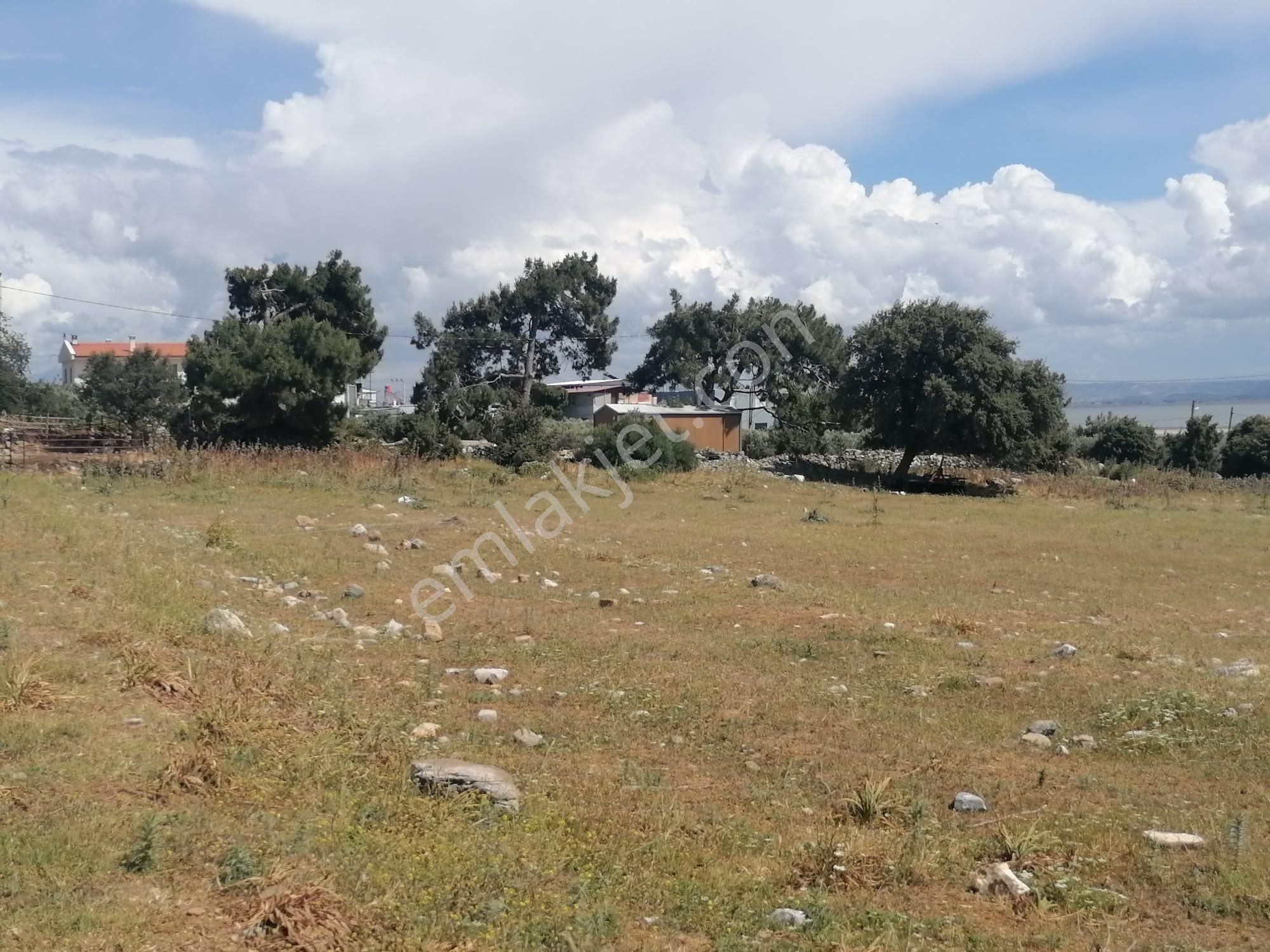 Doğanbey Köyü Sökede Satılık Tarla - Görsel 4