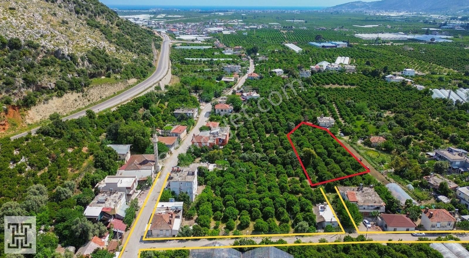 Rızai Taksimli 1.883 M2 Bakımlı Portakal Bahçesi