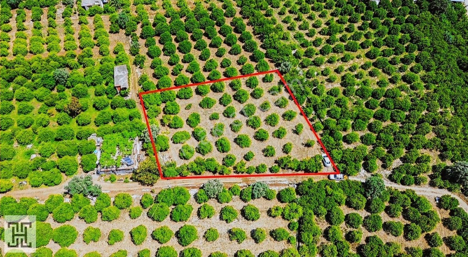 Rızai Taksimli 2.250 M2 Satılık Bahçe - Görsel 3