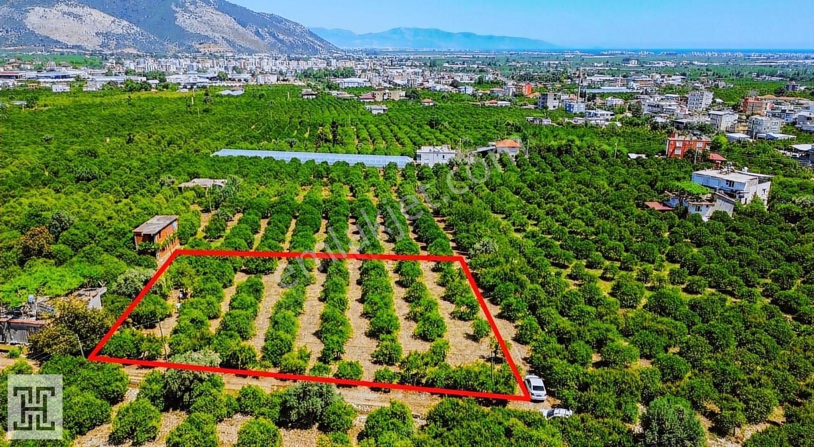 Rızai Taksimli 2.250 M2 Satılık Bahçe - Görsel 5
