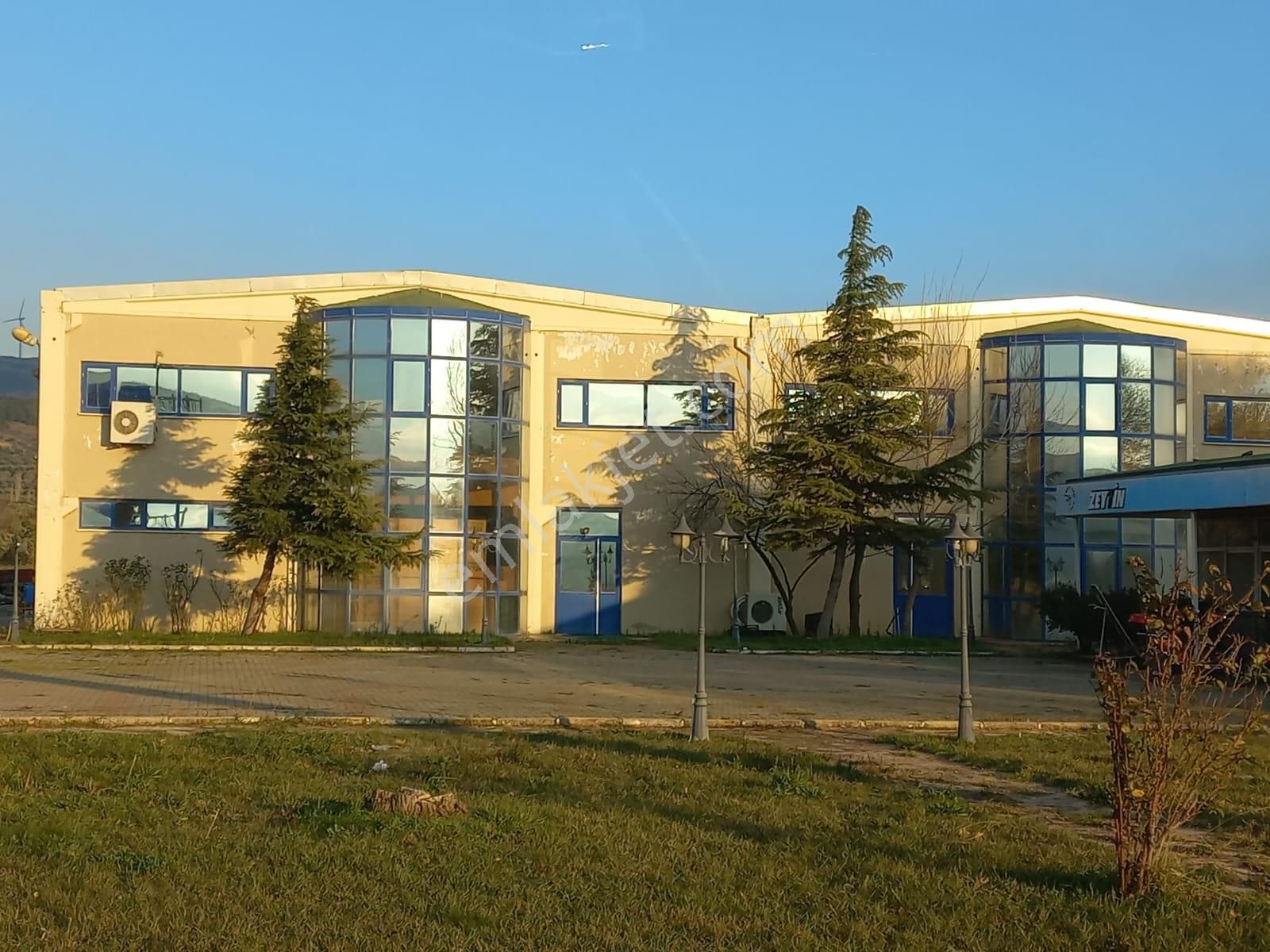 C21 Loca'dan Satılık Mükemmel Zeytinlik - Görsel 34