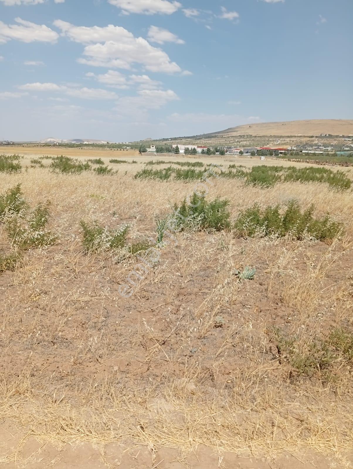 Karaköprü Yarımtepe'de Satılık Yatırımlık Arsa - Görsel 8