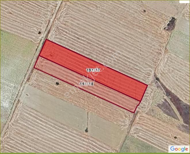 Konya Seydişehir Kavak M.satılık Bitişik İki Tarla 9290 M2. İçinde Kuyusu Var