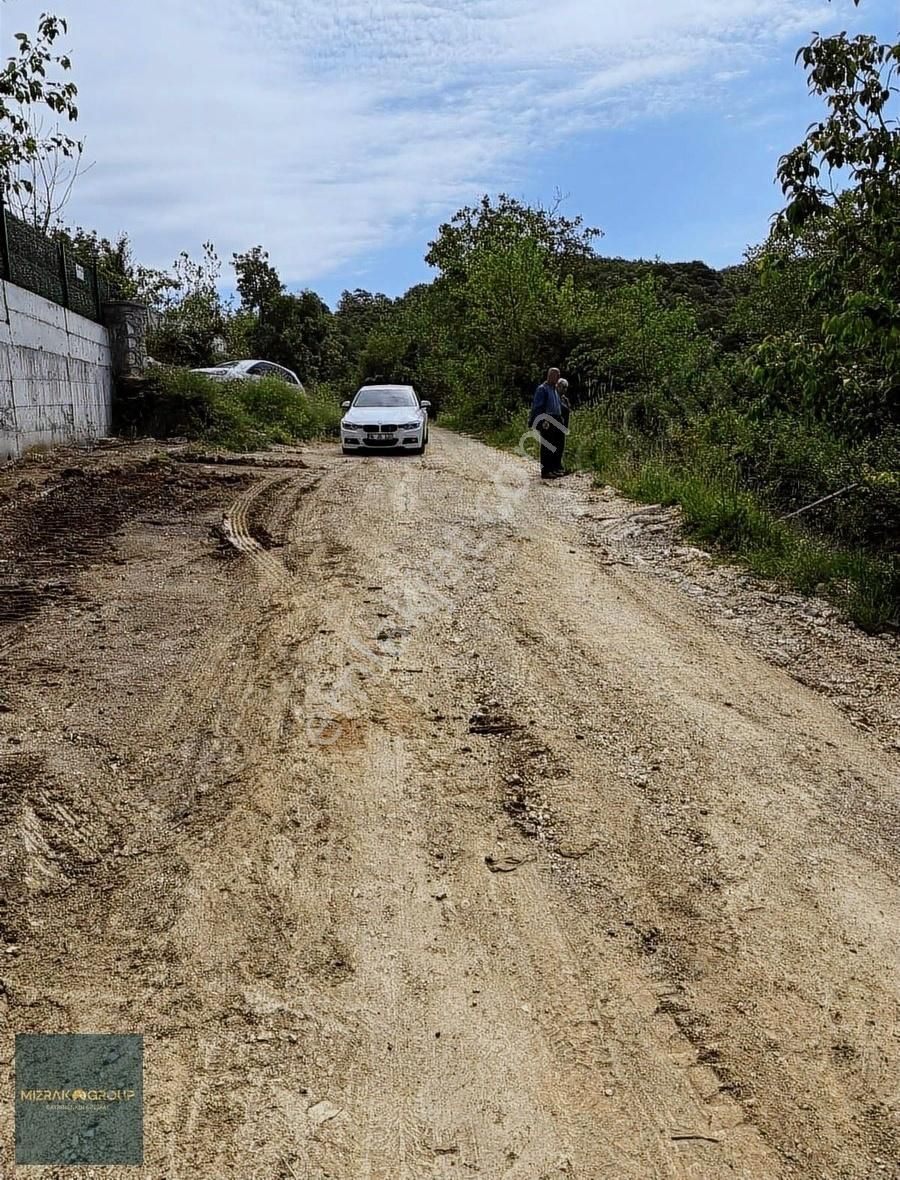 Güngören'de 885 M2 Doğa Harikası Bağ Tapu