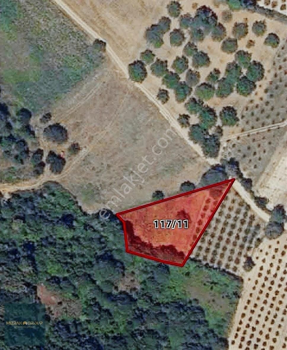 Yerleşime 1.5 Km Tarla
