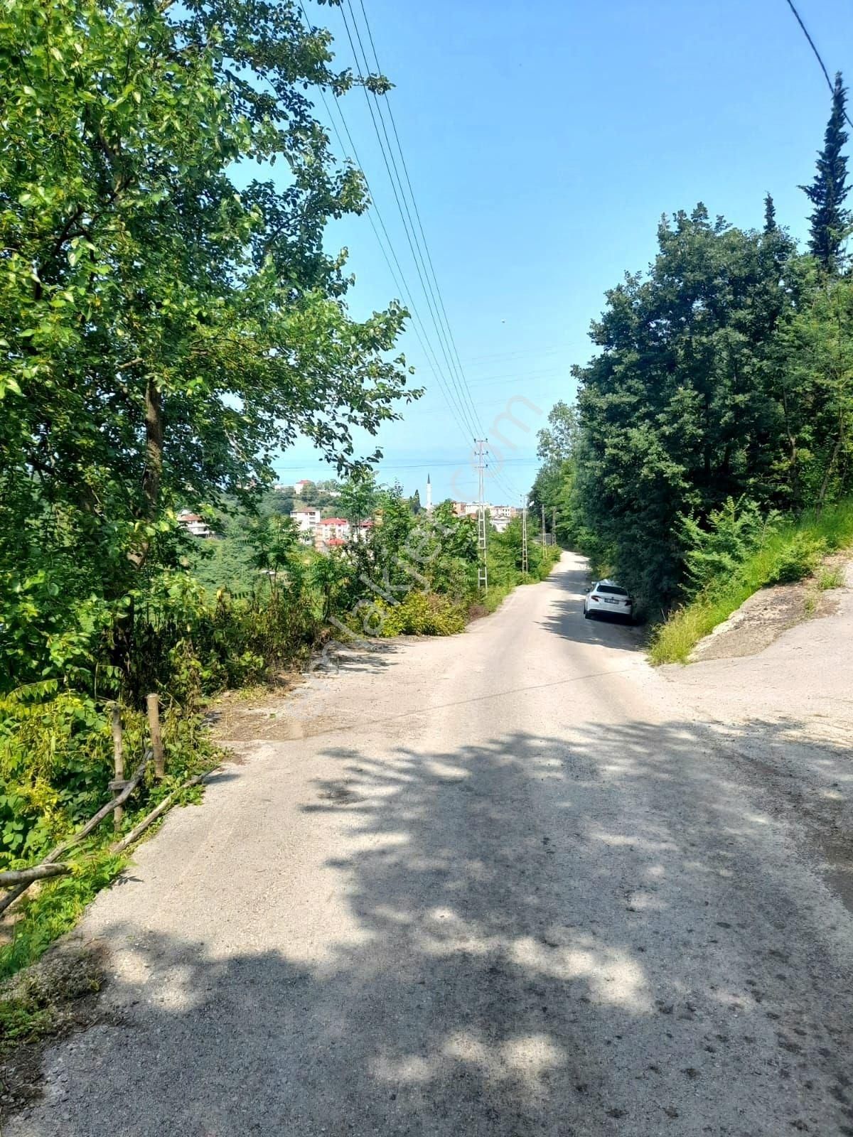 Trabzon Vakfıkebir Yalıköy'de Satılık Tapulu Tarla – 2337 M² – Yola Ve Yerleşime Yakın