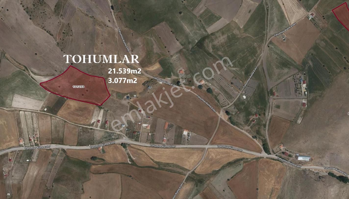 Lotus Tan Çankaya Tohumlar Ve Kömürcüde Arsa Ve Bahçe Yerleri - Görsel 4