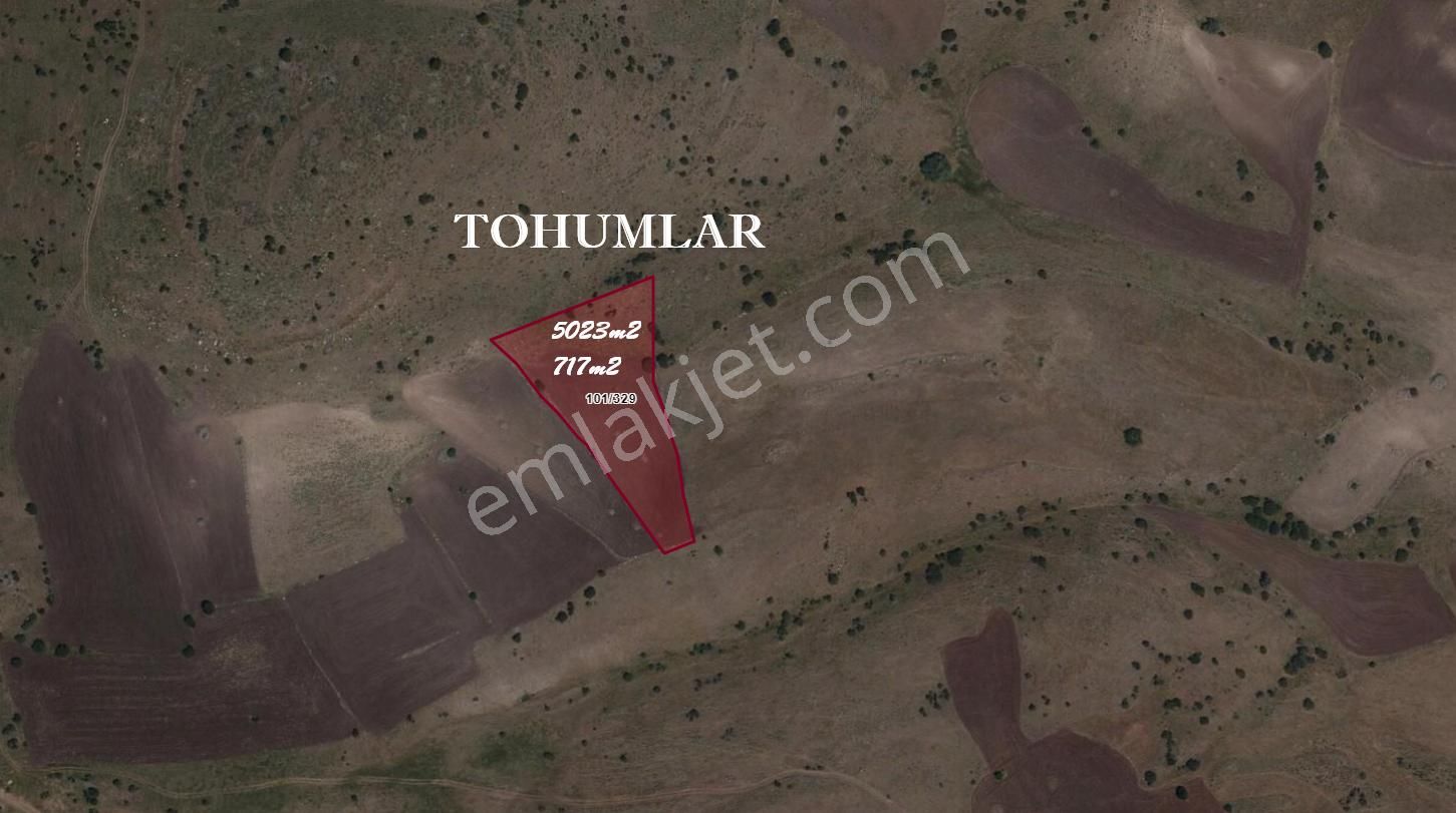 Lotus Tan Çankaya Tohumlar Ve Kömürcüde Arsa Ve Bahçe Yerleri - Görsel 5