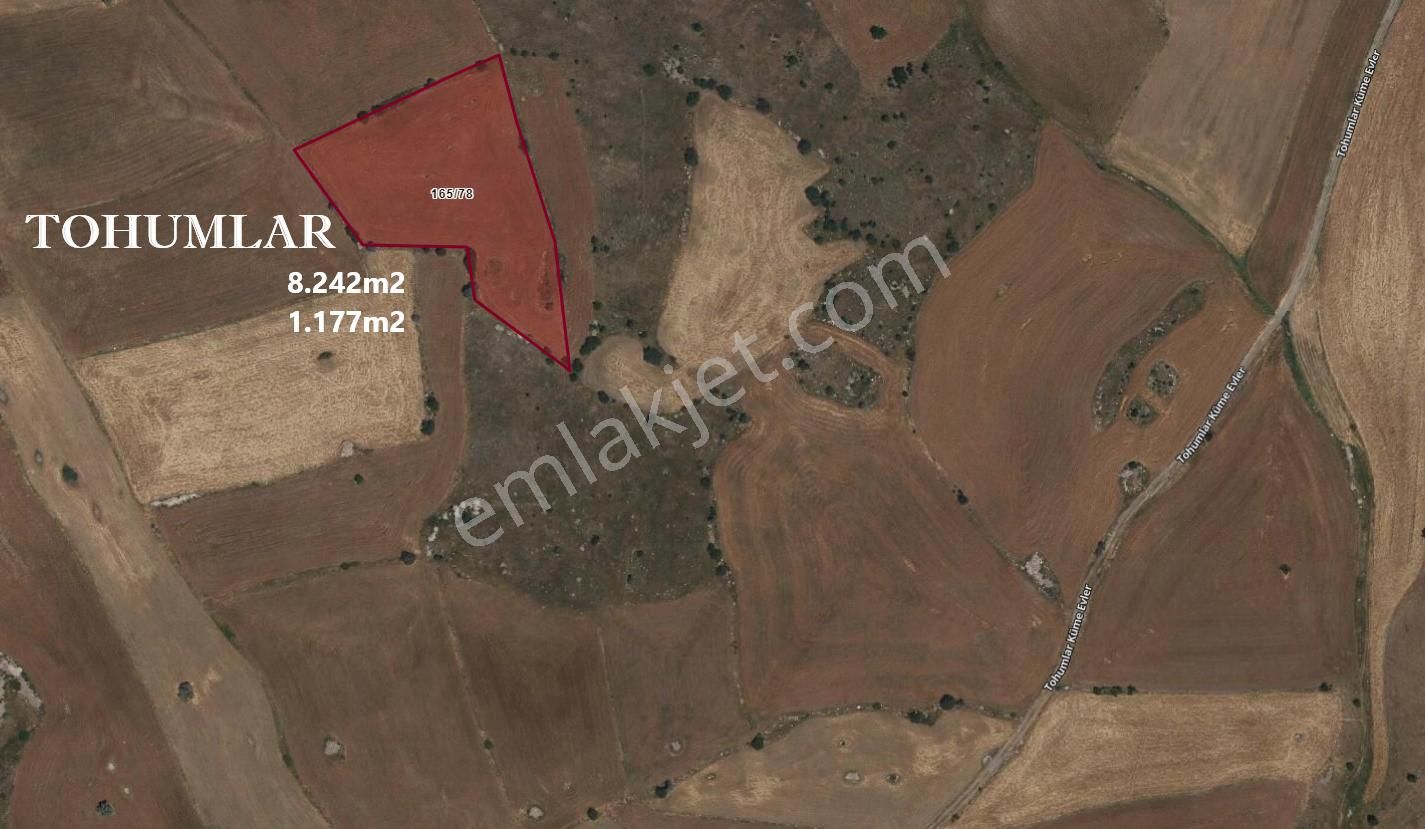 Lotus Tan Çankaya Tohumlar Ve Kömürcüde Arsa Ve Bahçe Yerleri - Görsel 10