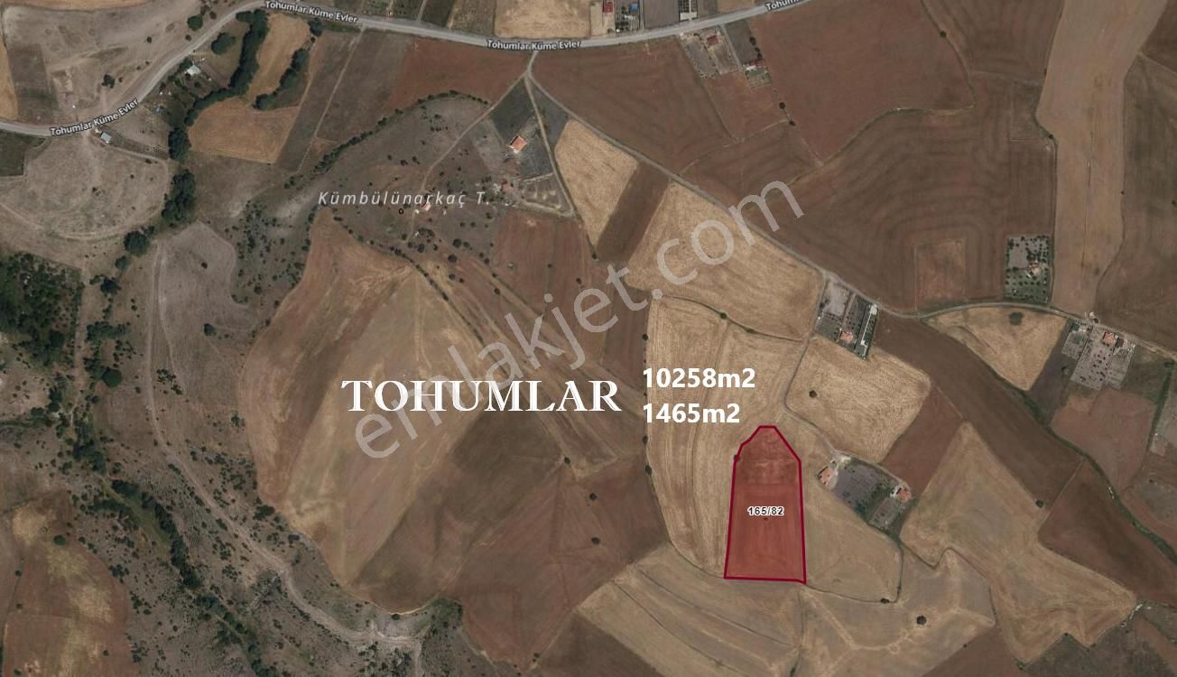 Lotus Tan Çankaya Tohumlar Ve Kömürcüde Arsa Ve Bahçe Yerleri - Görsel 11