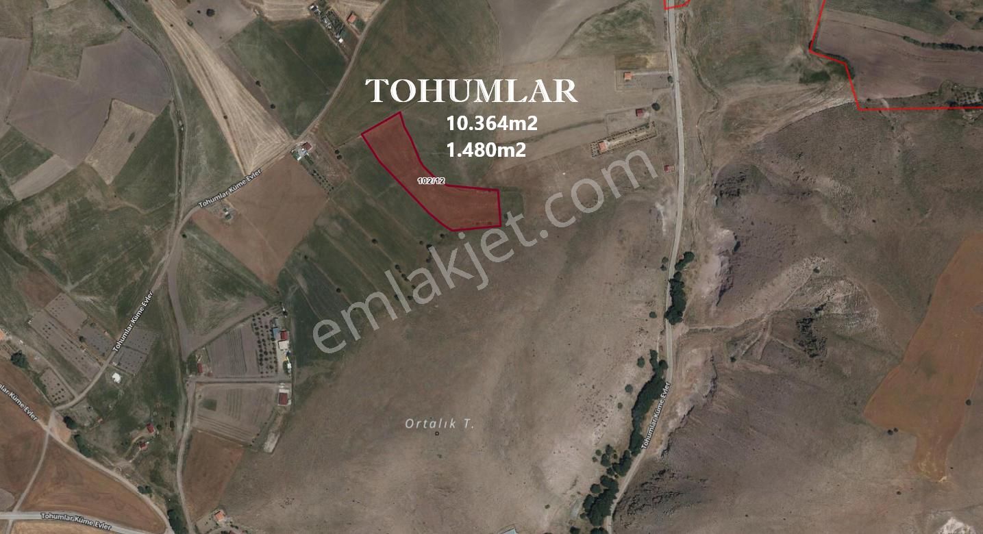 Lotus Tan Çankaya Tohumlar Ve Kömürcüde Arsa Ve Bahçe Yerleri - Görsel 6