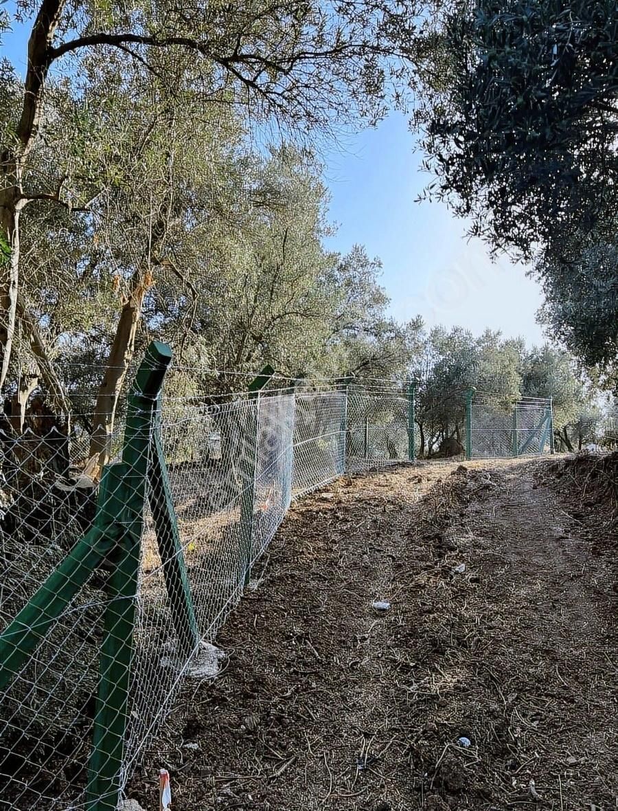 Marka Gayrımenkulden Yeniköyde Satılık Hobi Bahçesi