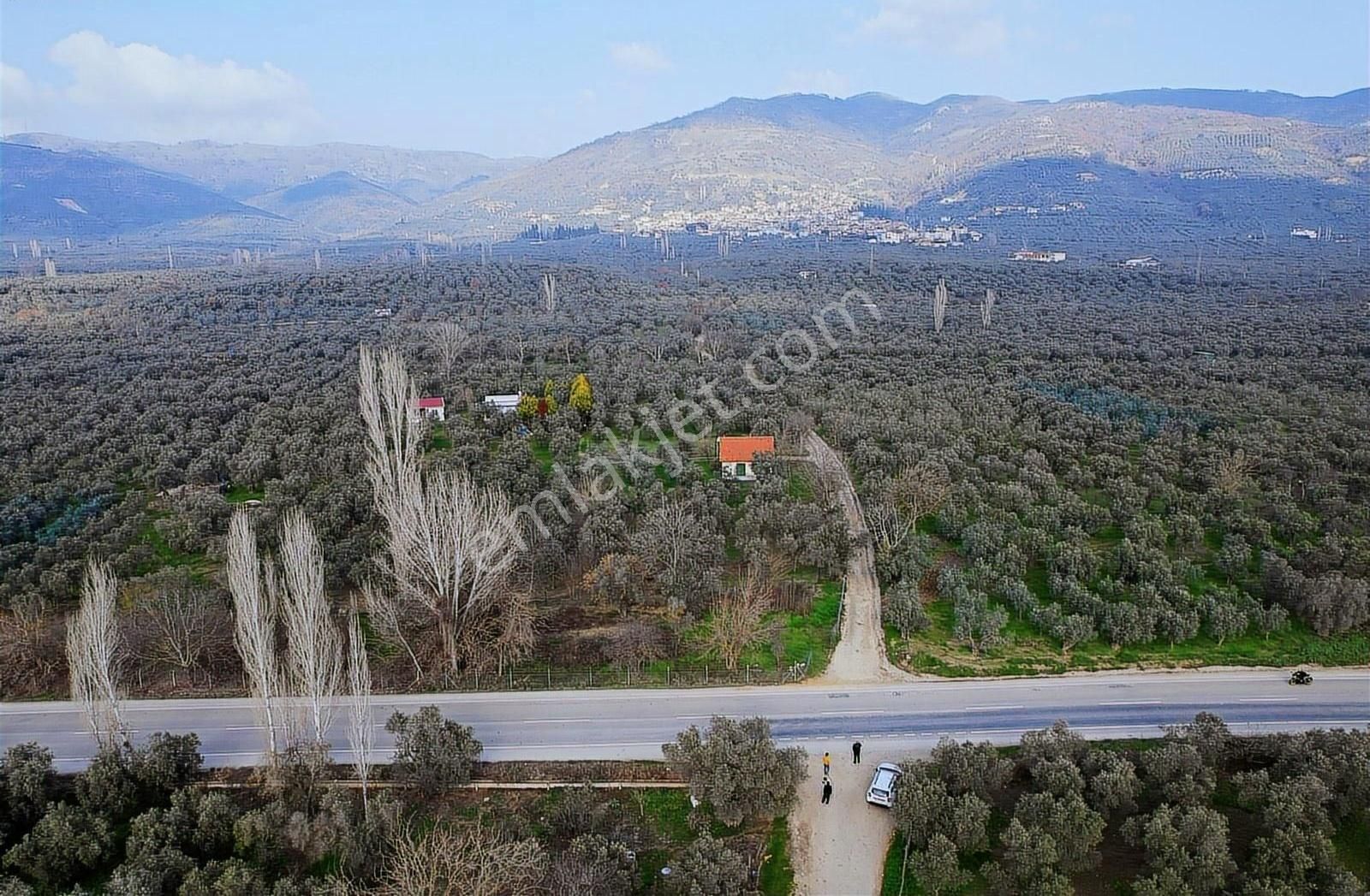 Marka Emlak Tan Asfalt Yola Cephe Satılık Hobi Bahçesi