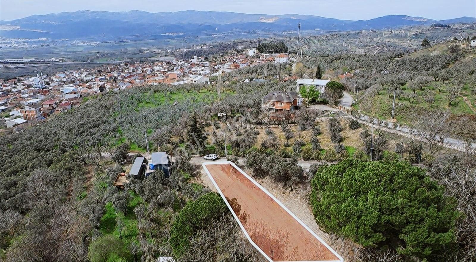 Marka Gayrımenkulden Asfalt Yola Cephe Satılık Hobi Bahçesi