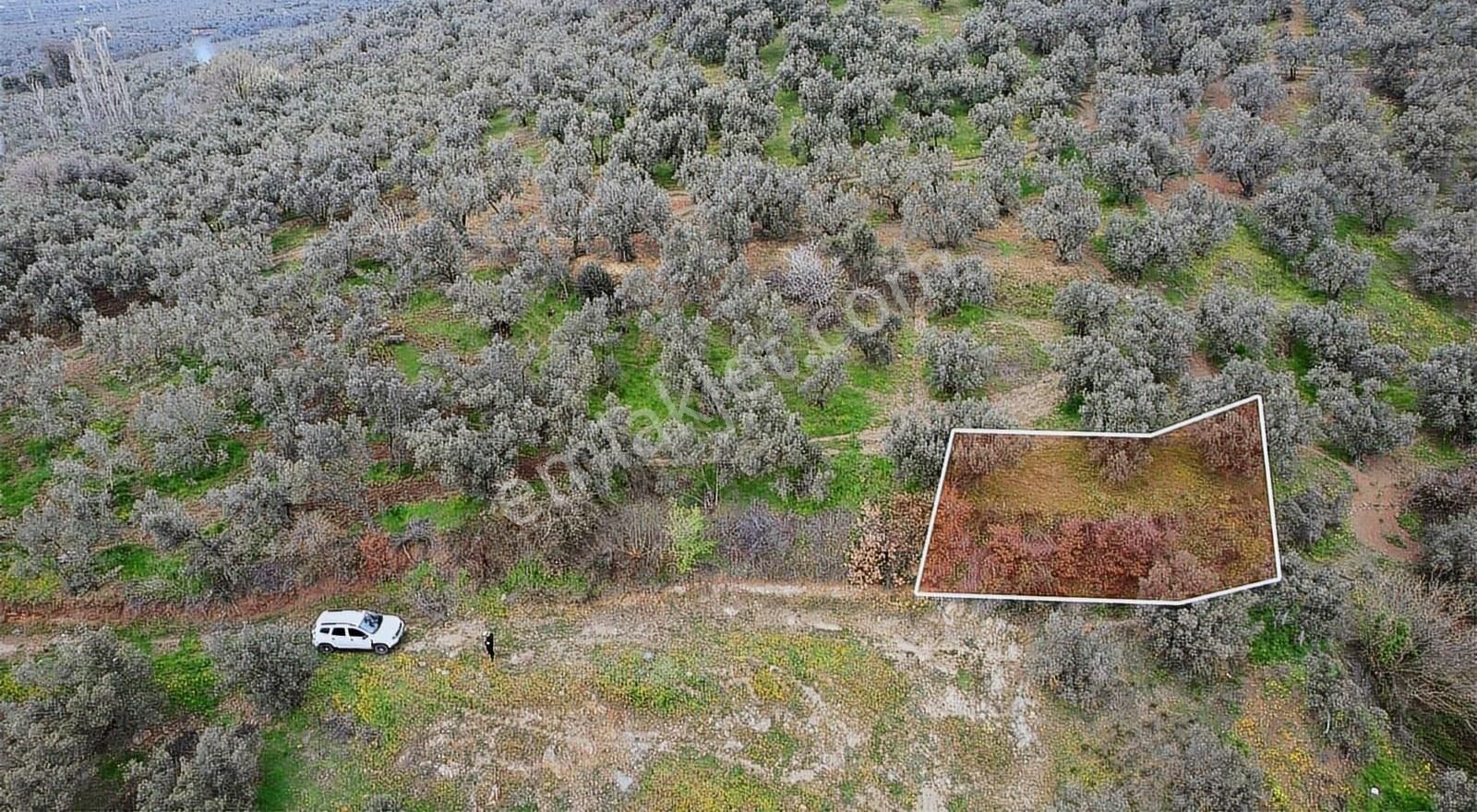 Marka Gayrımenkulden Yeniköyde Göl Manzaralı Hobi Bahçesi